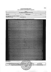 Образец кадастрового паспорта дома - лист 2